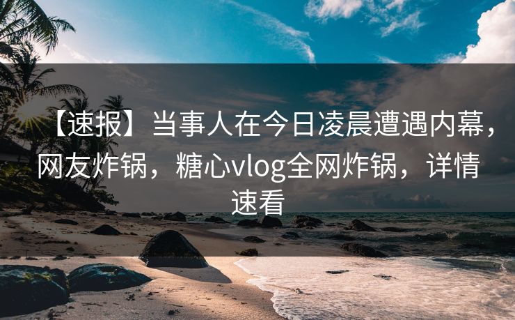 【速报】当事人在今日凌晨遭遇内幕，网友炸锅，糖心vlog全网炸锅，详情速看