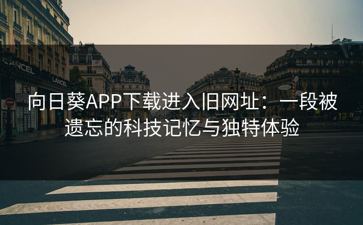 向日葵APP下载进入旧网址：一段被遗忘的科技记忆与独特体验