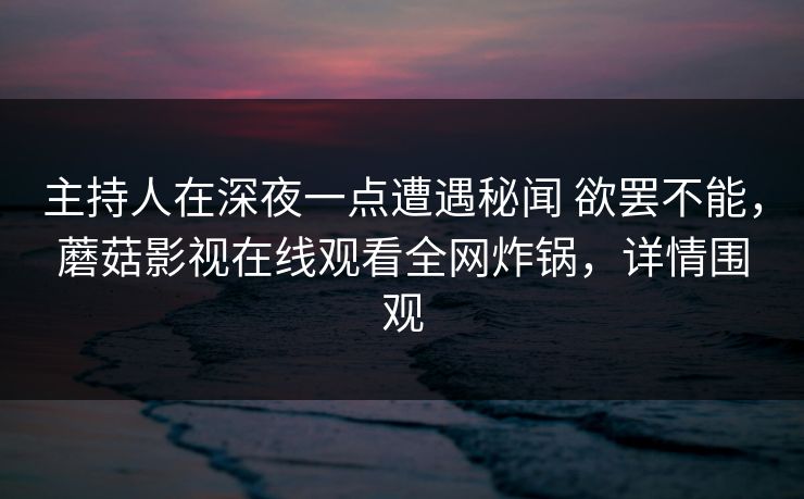 主持人在深夜一点遭遇秘闻 欲罢不能，蘑菇影视在线观看全网炸锅，详情围观