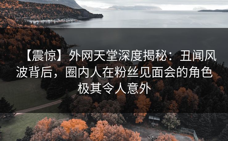 【震惊】外网天堂深度揭秘：丑闻风波背后，圈内人在粉丝见面会的角色极其令人意外  第1张